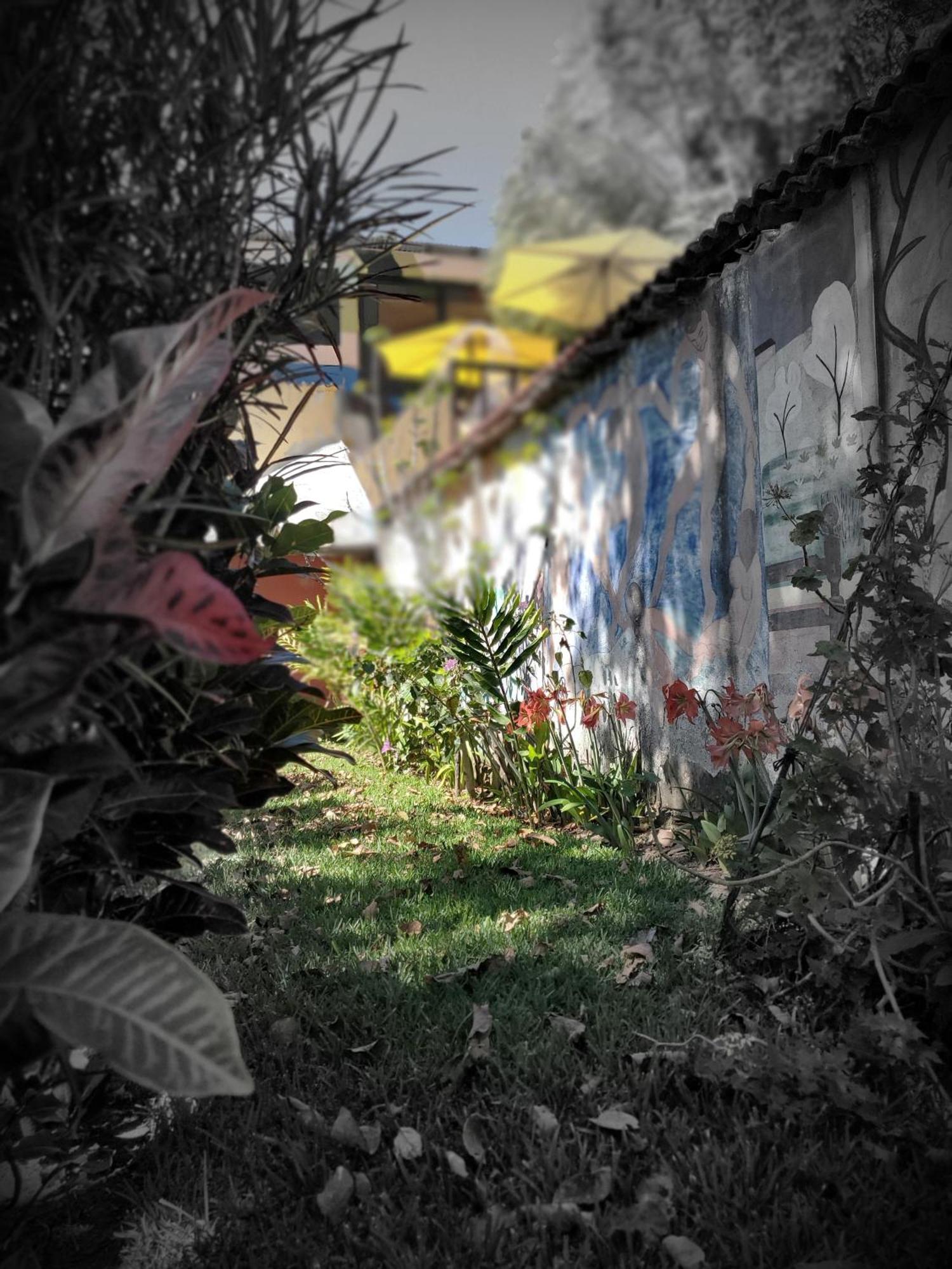 Art & Coffee Hotel Santa Cruz La Laguna Eksteriør billede