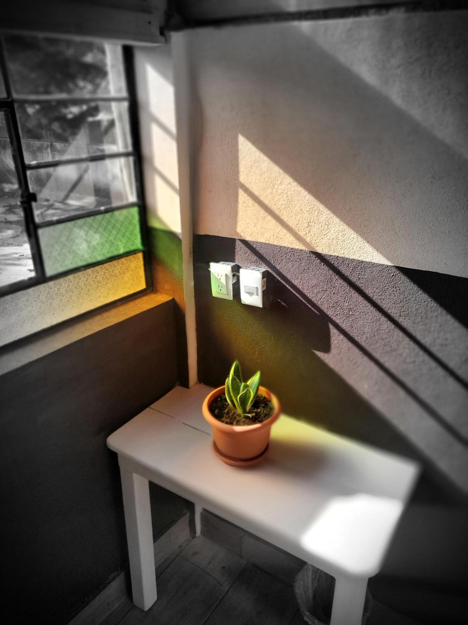 Art & Coffee Hotel Santa Cruz La Laguna Værelse billede